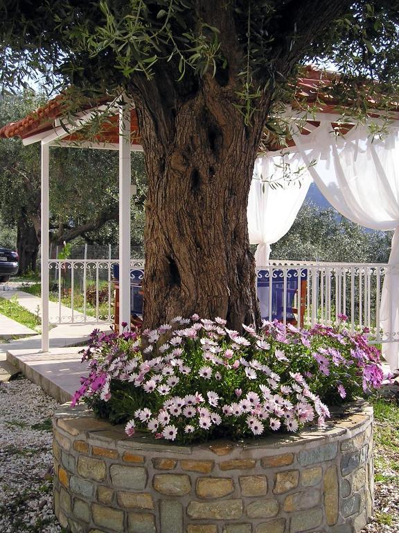Golden Beach Inn Chrysi Ammoudia Quarto foto